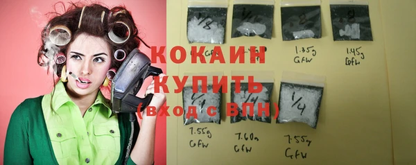 крисы Михайловск