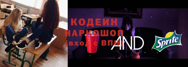 крисы Михайловск