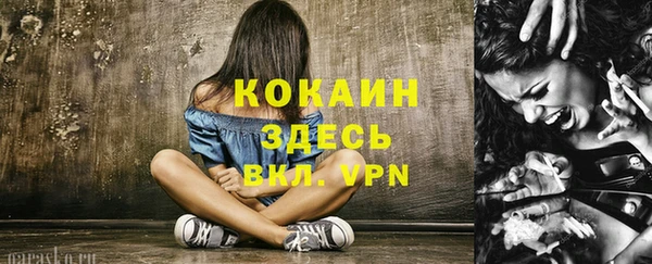 прущий лед Михайлов
