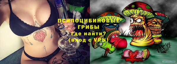 2c-b Мегион