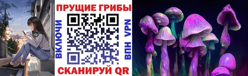 Псилоцибиновые грибы Cubensis магазин продажи наркотиков Поворино