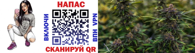 цены наркотик  Поворино  Канабис Bruce Banner 
